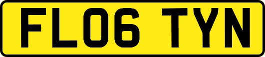 FL06TYN