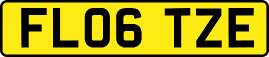 FL06TZE