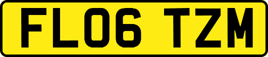 FL06TZM