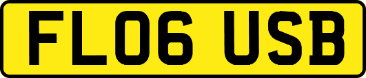 FL06USB