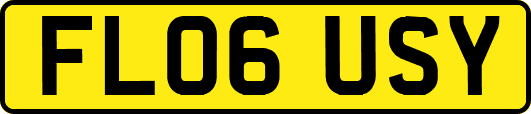 FL06USY