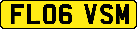 FL06VSM