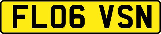 FL06VSN