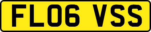 FL06VSS