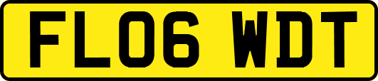 FL06WDT