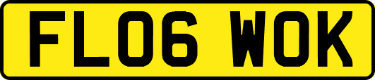 FL06WOK