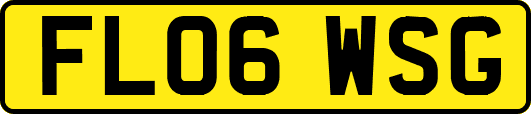 FL06WSG