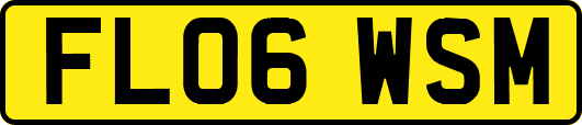 FL06WSM