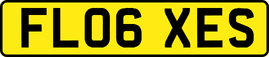 FL06XES