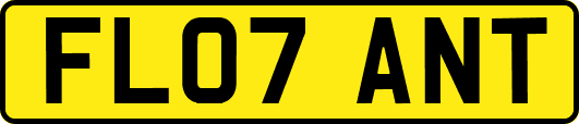FL07ANT