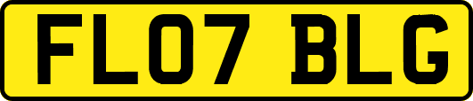 FL07BLG