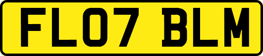 FL07BLM
