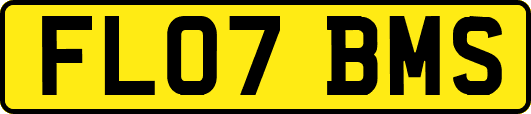 FL07BMS