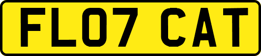 FL07CAT