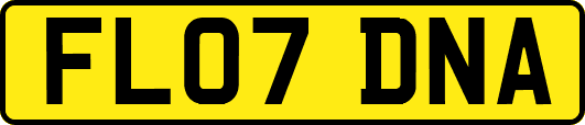 FL07DNA