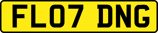FL07DNG