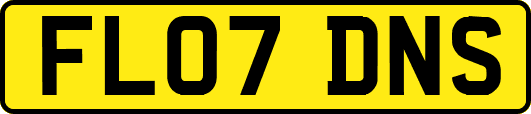 FL07DNS