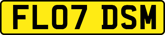 FL07DSM