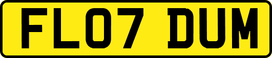 FL07DUM
