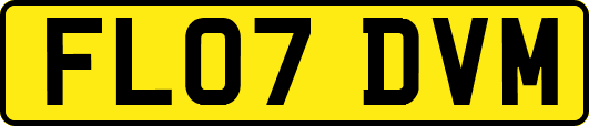 FL07DVM