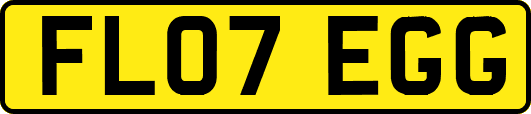 FL07EGG
