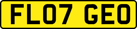 FL07GEO