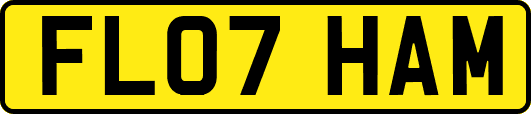 FL07HAM