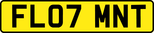 FL07MNT