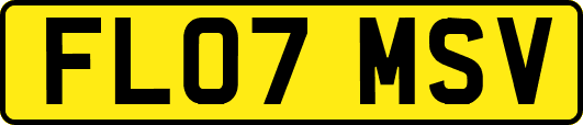 FL07MSV