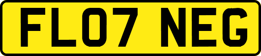 FL07NEG