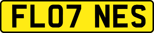 FL07NES