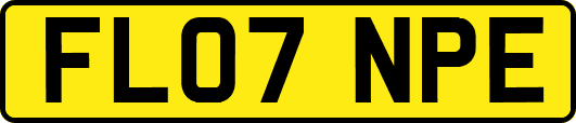 FL07NPE
