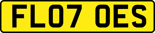 FL07OES
