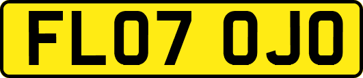 FL07OJO