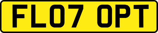 FL07OPT