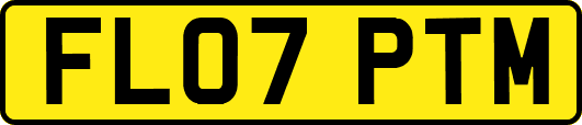 FL07PTM