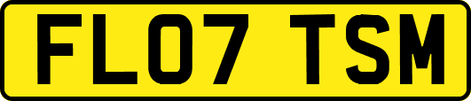 FL07TSM