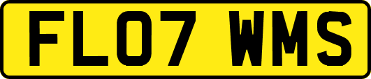 FL07WMS