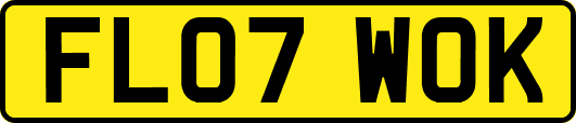 FL07WOK