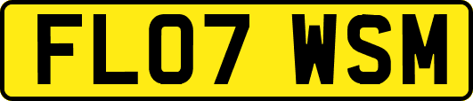 FL07WSM