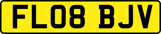 FL08BJV