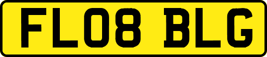 FL08BLG