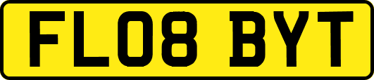 FL08BYT