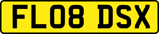 FL08DSX