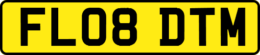 FL08DTM