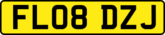 FL08DZJ
