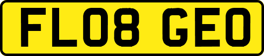 FL08GEO