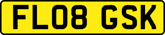 FL08GSK