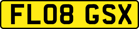 FL08GSX