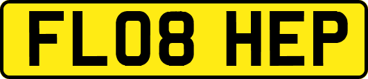 FL08HEP